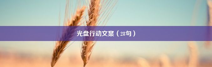 光盘行动文案（28句）