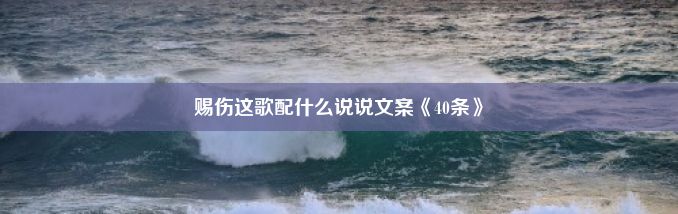 赐伤这歌配什么说说文案《40条》