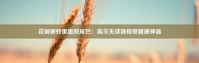 花城谢怜里面放尾巴：高尔夫球场惊现健康神器