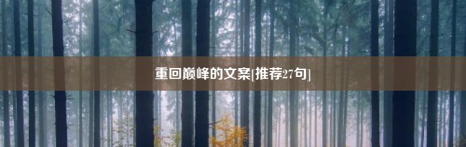 重回巅峰的文案[推荐27句]