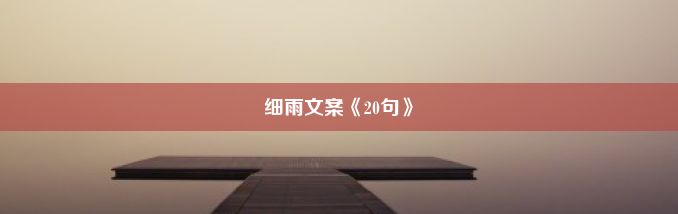 细雨文案《20句》