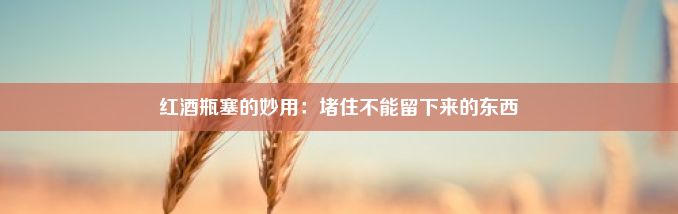 红酒瓶塞的妙用：堵住不能留下来的东西