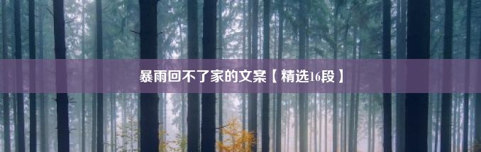 暴雨回不了家的文案【精选16段】